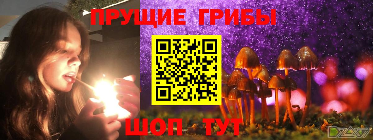 Псилоцибиновые грибы мухоморы  Вход с VPN  Дзержинск 